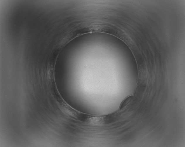 X0000073990126200608281324