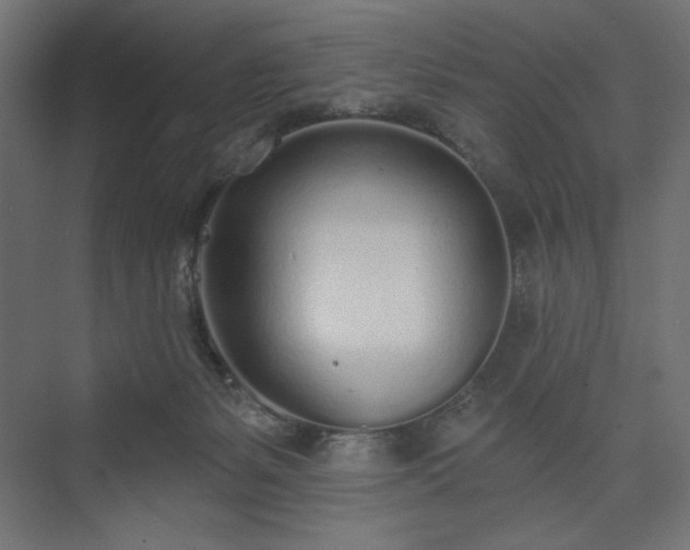 X0000073990127200608281324