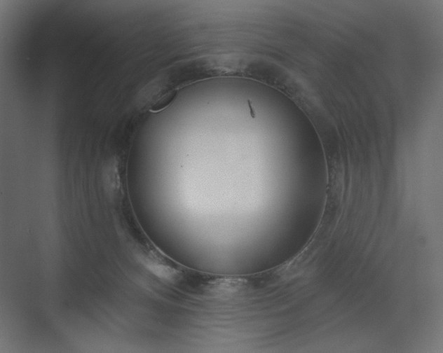 X0000073990128200608281324