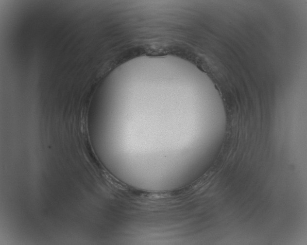 X0000073990129200608281324