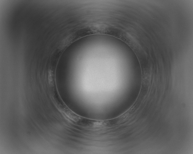 X0000073990130200608281324