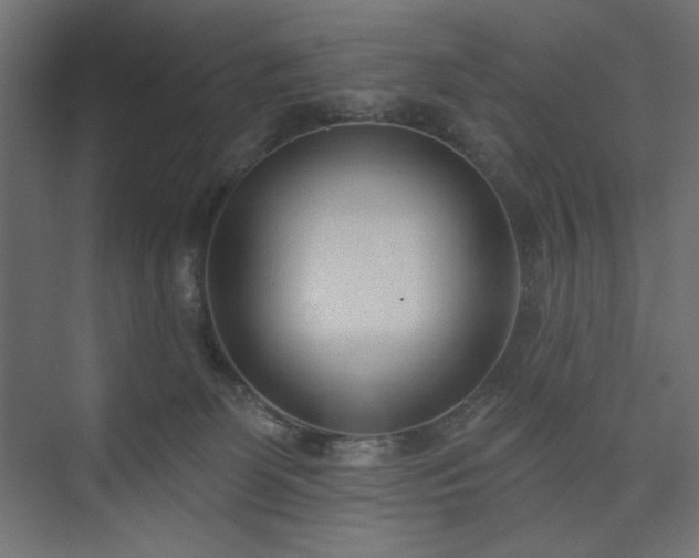 X0000073990131200608281324