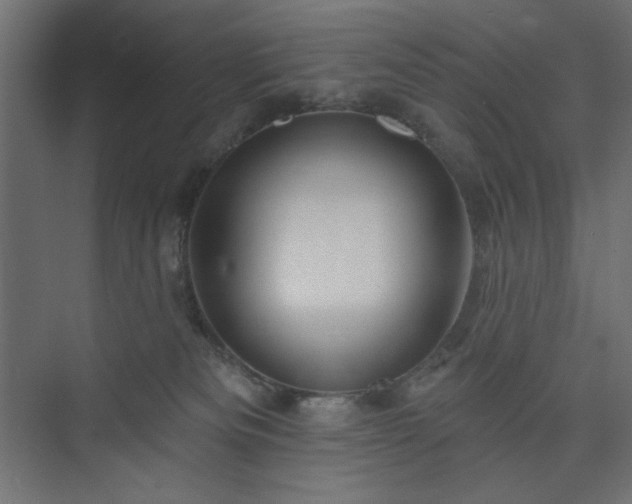 X0000073990133200608281324