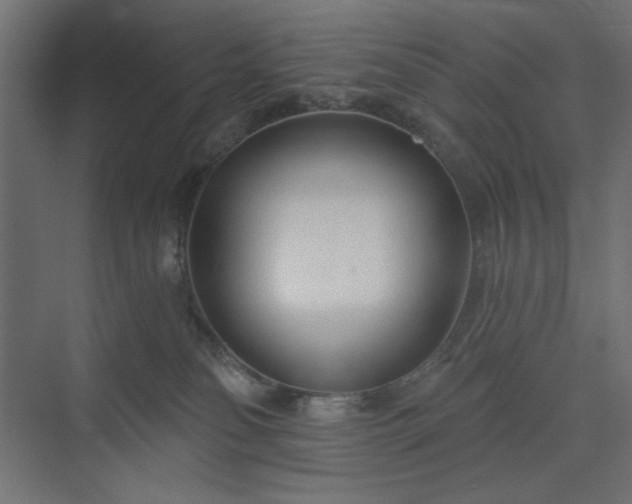 X0000073990134200608281324