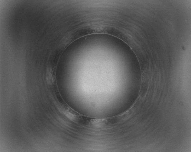 X0000073990136200608281324