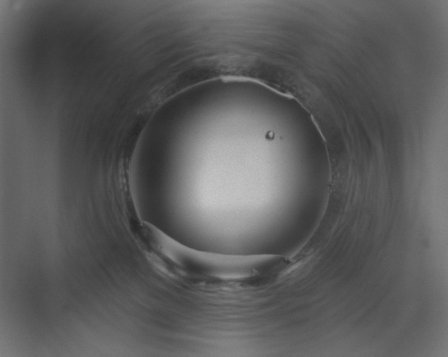 X0000073990137200608281324