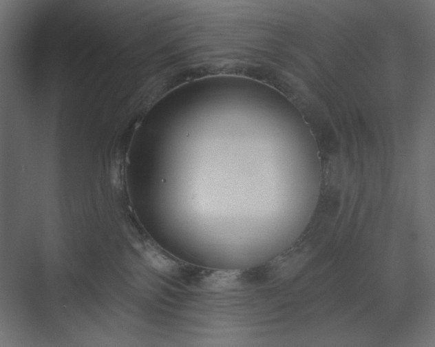 X0000073990138200608281324