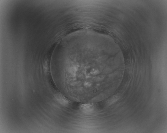 X0000073990139200608281324