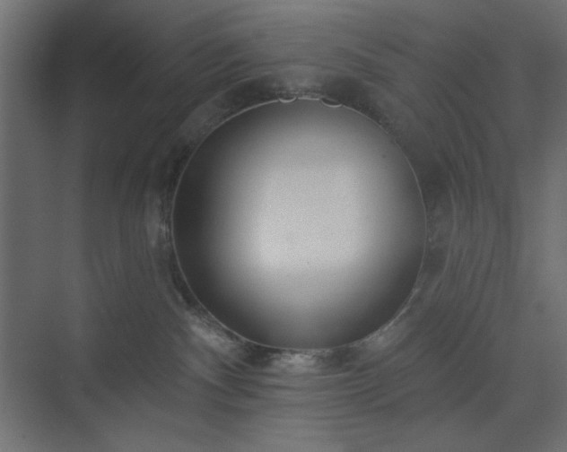 X0000073990140200608281324