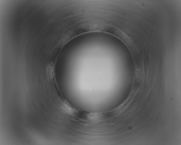 X0000073990142200608281323