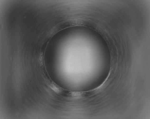 X0000073990144200608281323