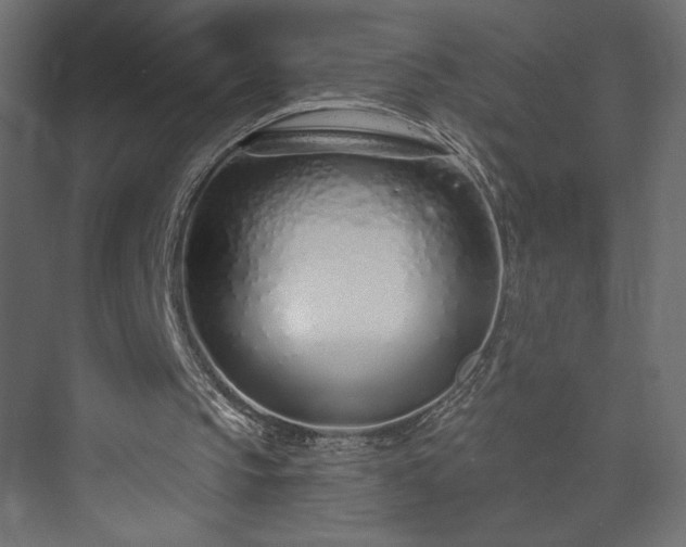 X0000073990145200608281323