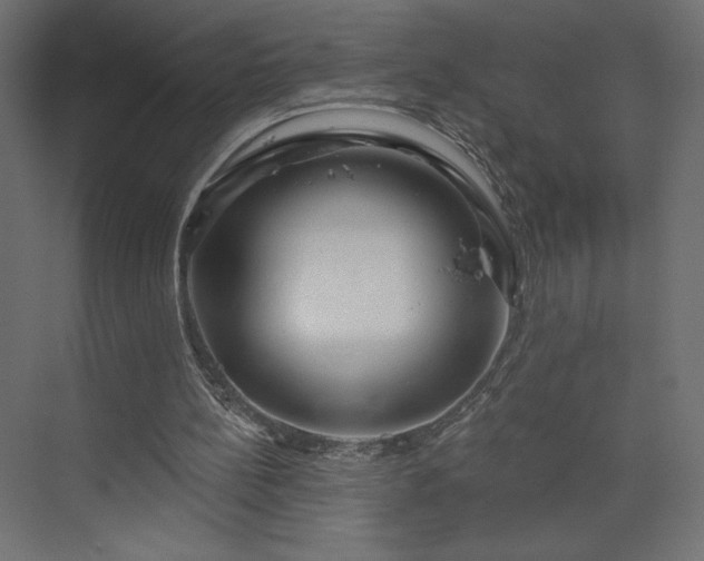 X0000073990148200608281323