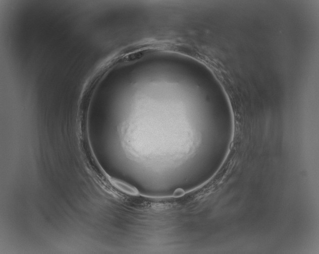 X0000073990149200608281323