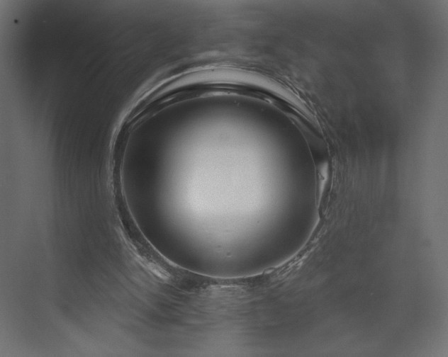 X0000073990150200608281323