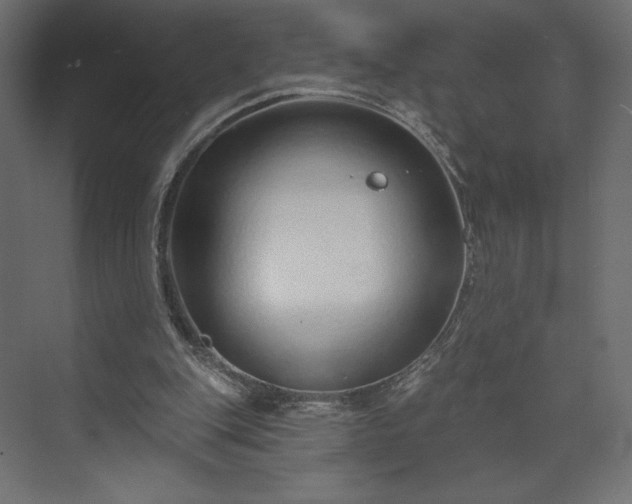 X0000073990151200608281323