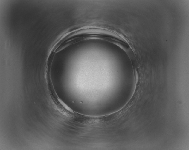 X0000073990152200608281323