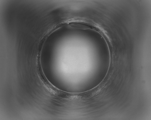 X0000073990153200608281323