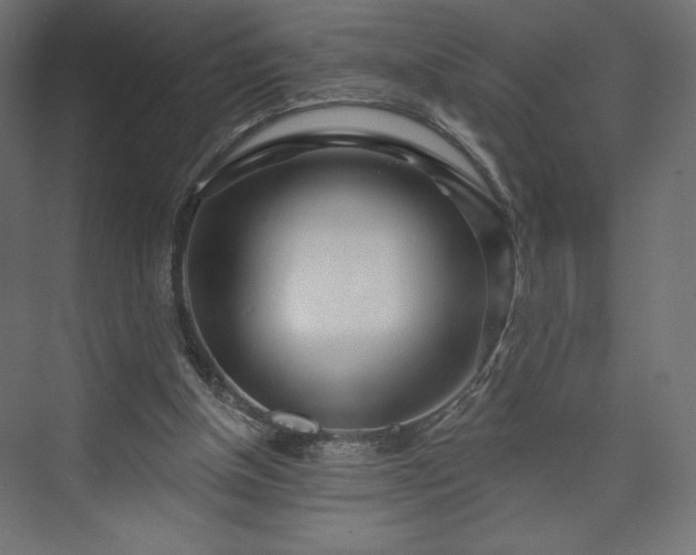 X0000073990154200608281323