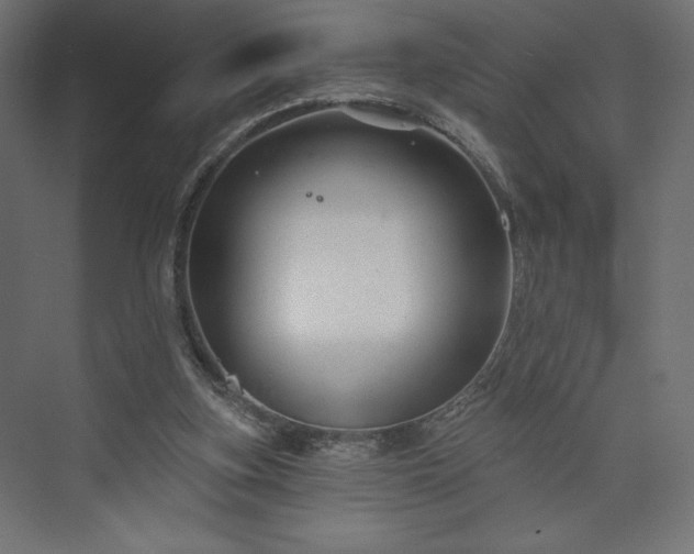 X0000073990155200608281323