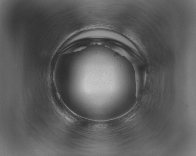 X0000073990156200608281323