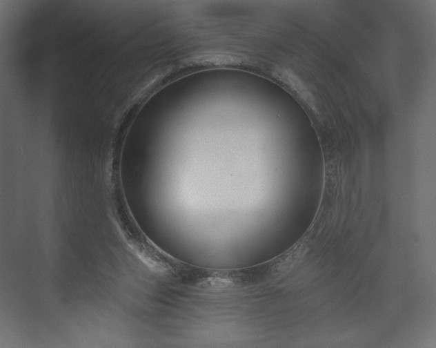 X0000073990159200608281323