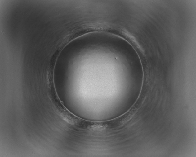 X0000073990161200608281323