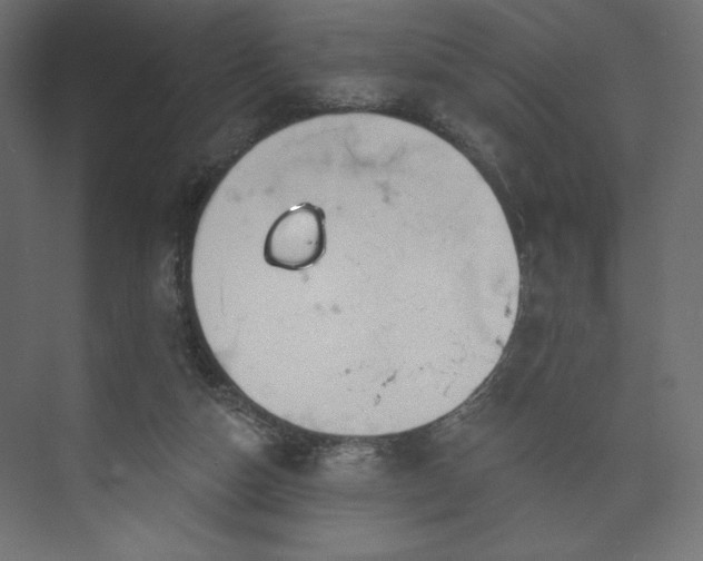 X0000073990162200608281323