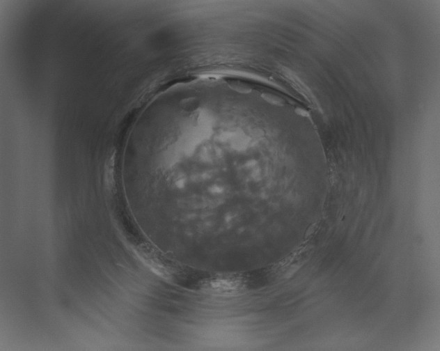 X0000073990163200608281323