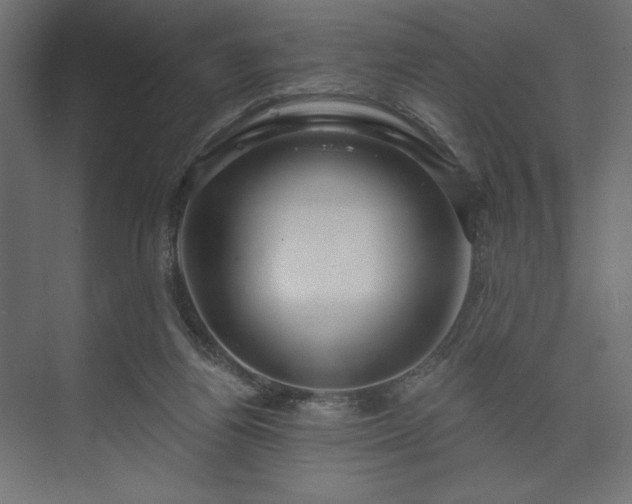 X0000073990164200608281323