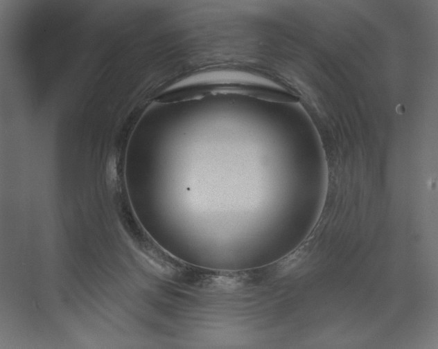 X0000073990166200608281323