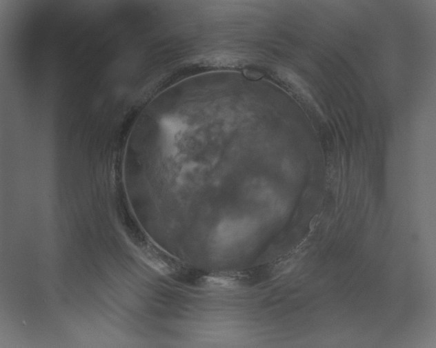 X0000073990167200608281323