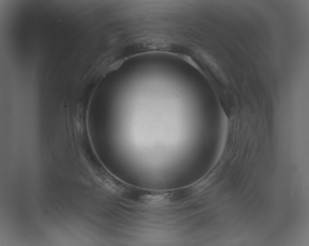 X0000073990170200608281323