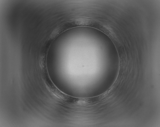 X0000073990171200608281323