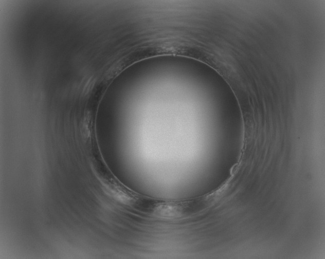 X0000073990174200608281323