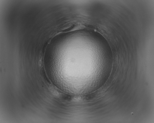 X0000073990177200608281323