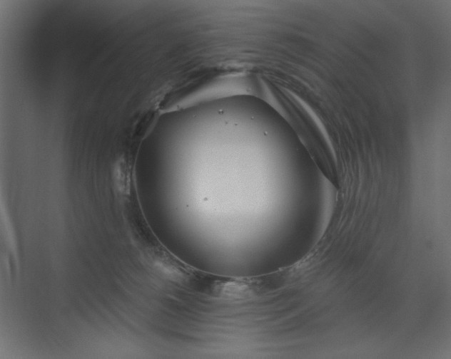 X0000073990180200608281323