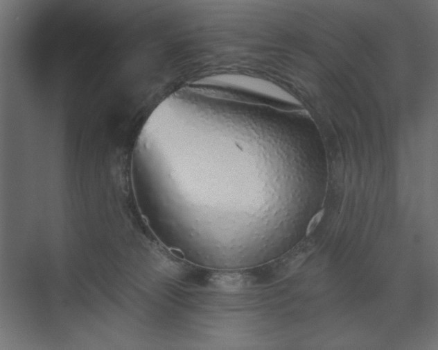 X0000073990181200608281323