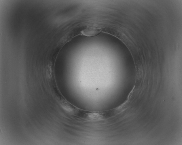 X0000073990183200608281323