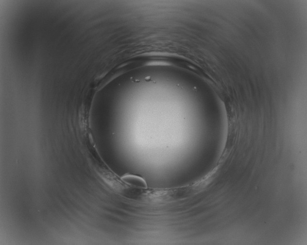 X0000073990186200608281323