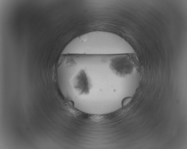 X0000073990189200608281323