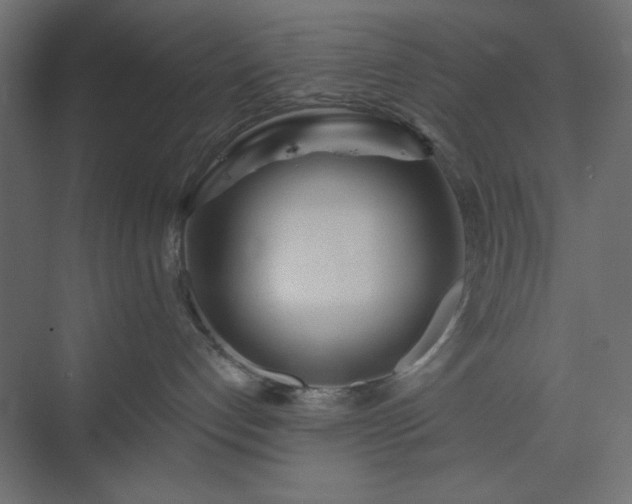 X0000073990192200608281323