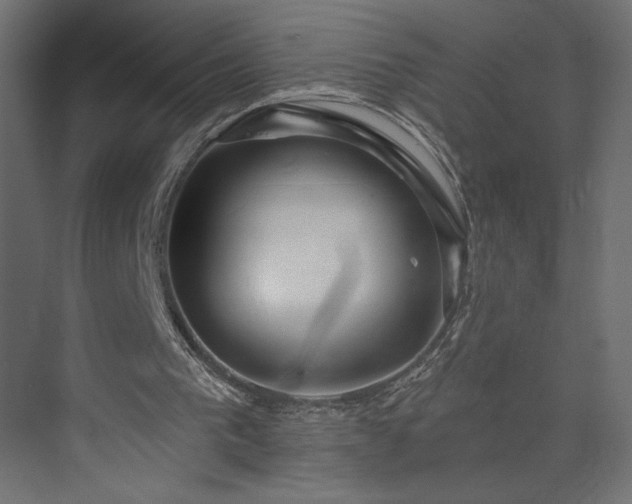 X0000073990193200608281323