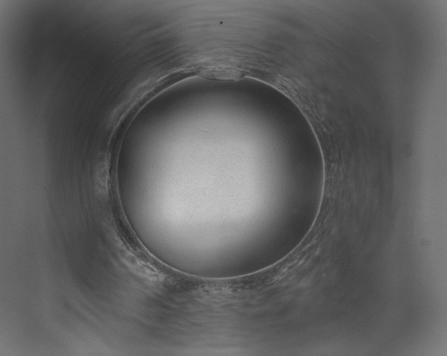 X0000073990194200608281323