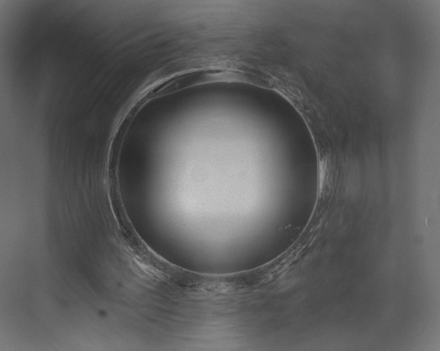 X0000073990195200608281323