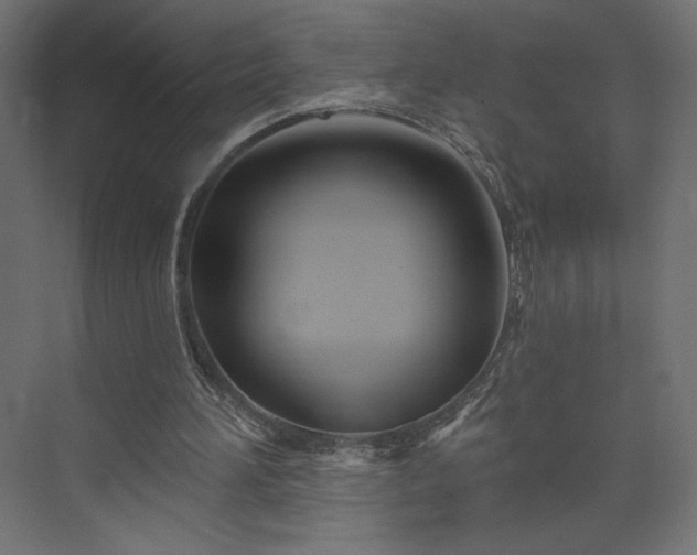 X0000073990196200608281323