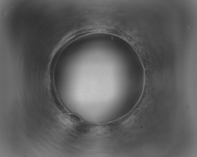 X0000073990198200608281323