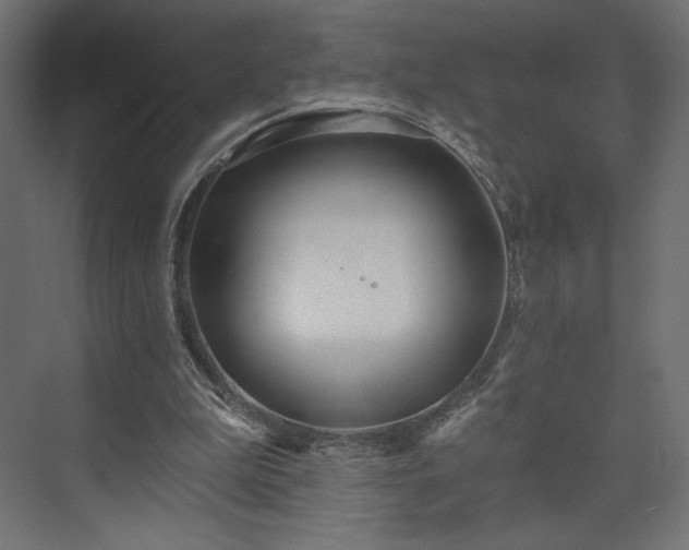 X0000073990199200608281323