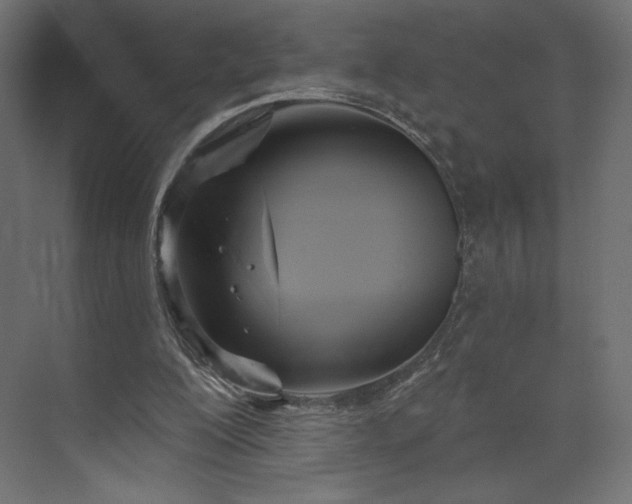 X0000073990200200608281323