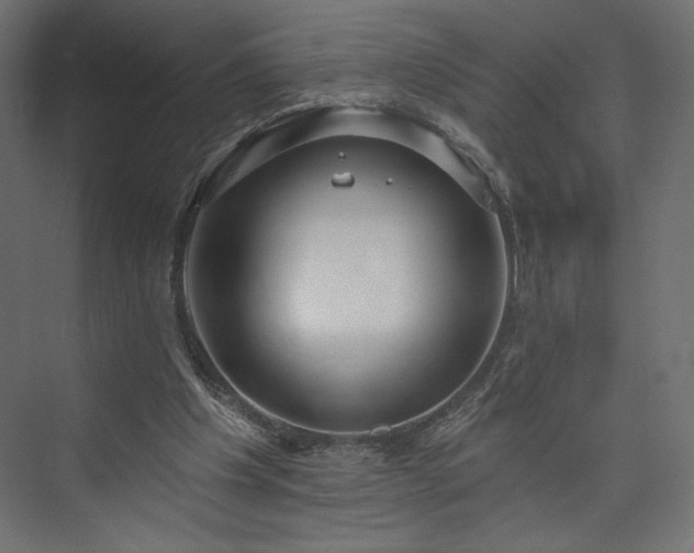 X0000073990201200608281322